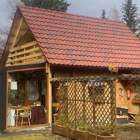 Holzhaus Mit Direktem Wasserzugang In Berlin-Koepenick Esterno foto