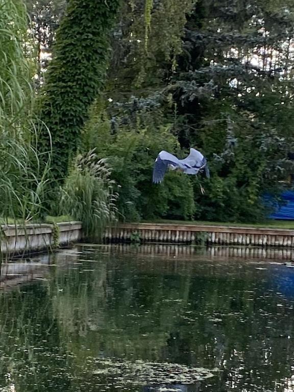 Holzhaus Mit Direktem Wasserzugang In Berlin-Koepenick Esterno foto