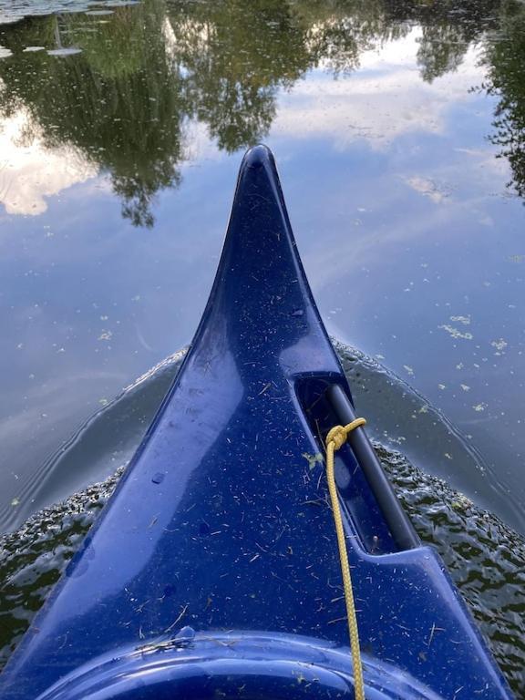 Holzhaus Mit Direktem Wasserzugang In Berlin-Koepenick Esterno foto